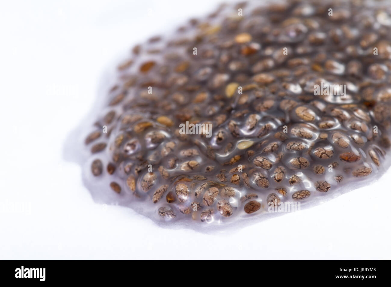 water soaked chia seeds isolated on a white background Stock Photo Alamy