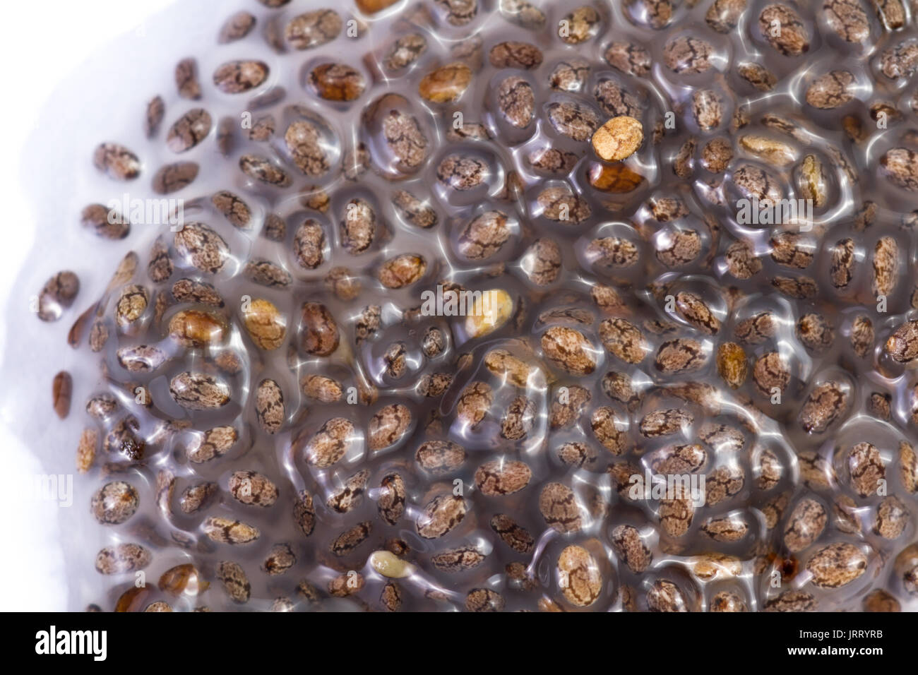 Gelatinous texture hires stock photography and images Alamy