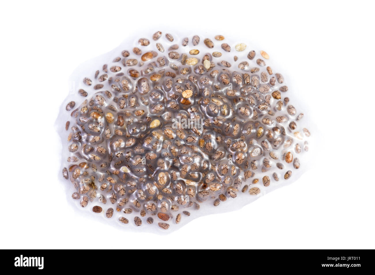 water soaked chia seeds isolated on a white background Stock Photo Alamy