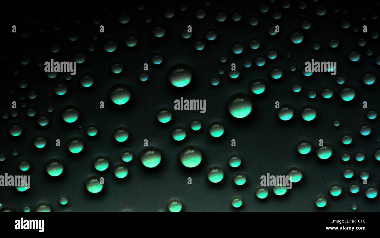 Abstract, Bubbles, Bubbling, Green, Defined, Spots, Highlighted, Floating Stock Photo