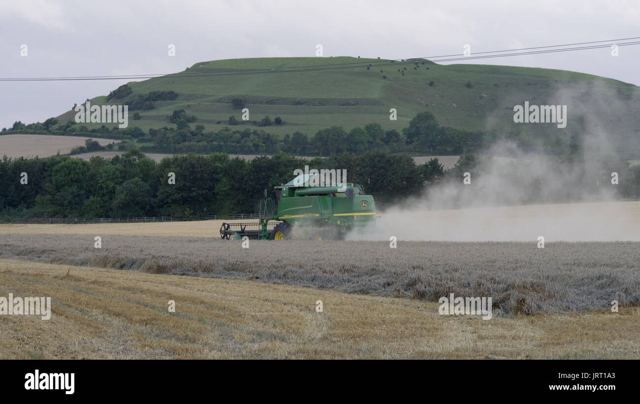 Harvesting the wheat on an August evening, Wiltshire Stock Photo Alamy