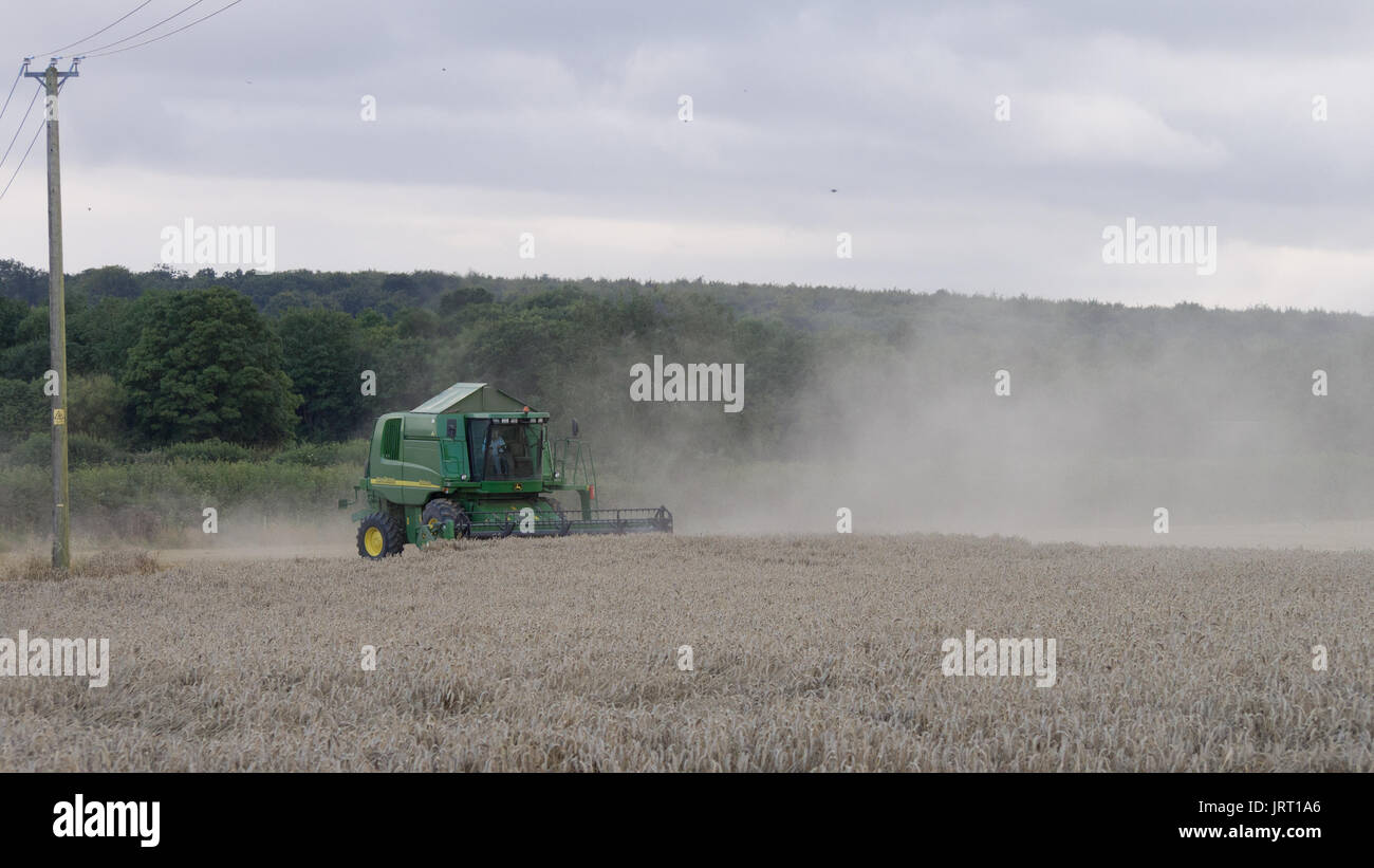 Harvesting the wheat on an August evening, Wiltshire Stock Photo Alamy