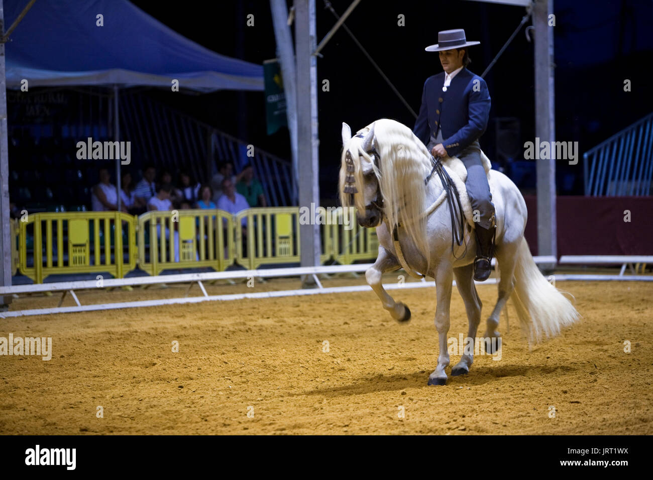 Spanish championship of equestrian taming of horses of pure race