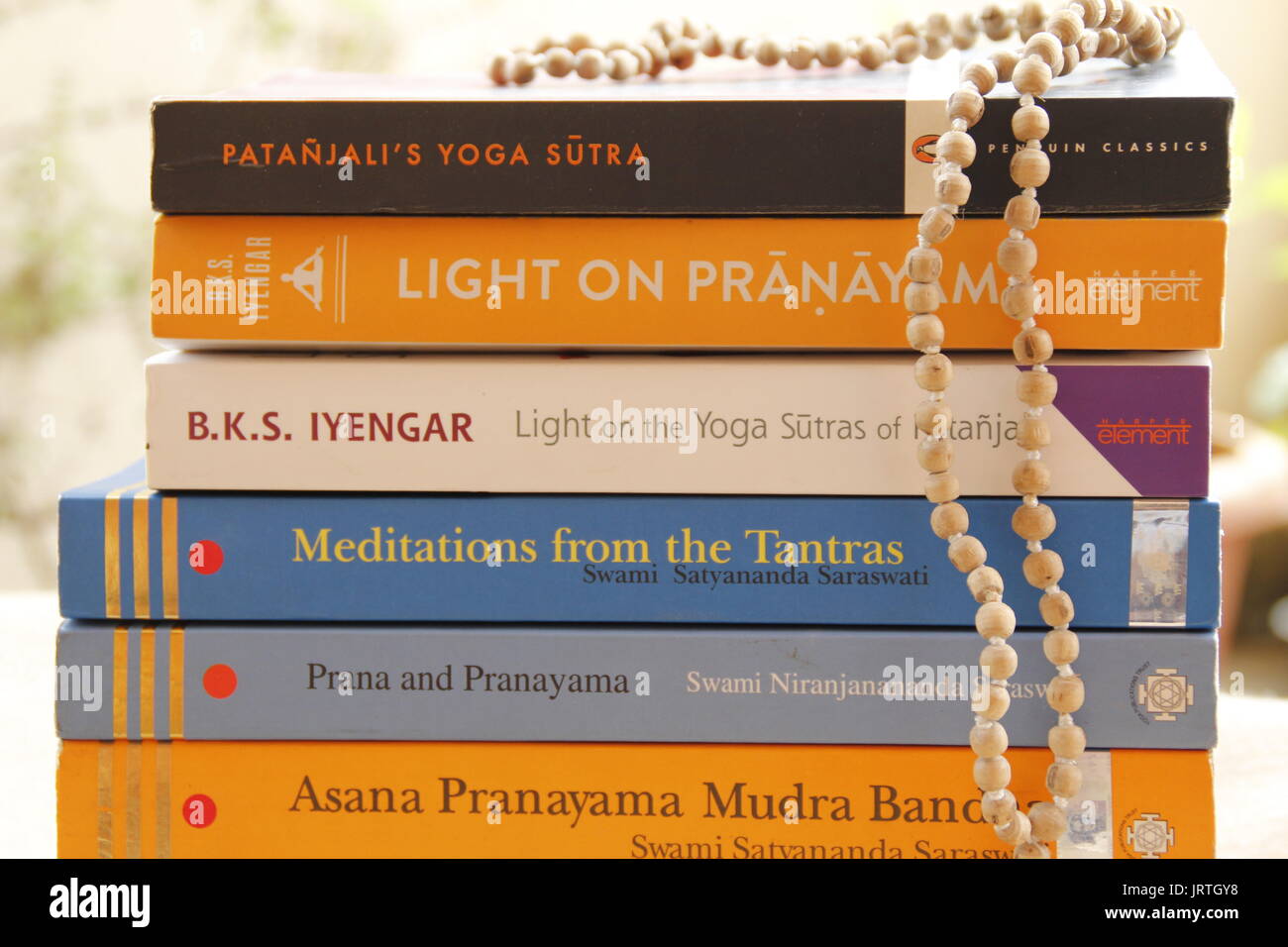 Books related to Yoga and meditation. Yoga literature. yogic Stock Photo