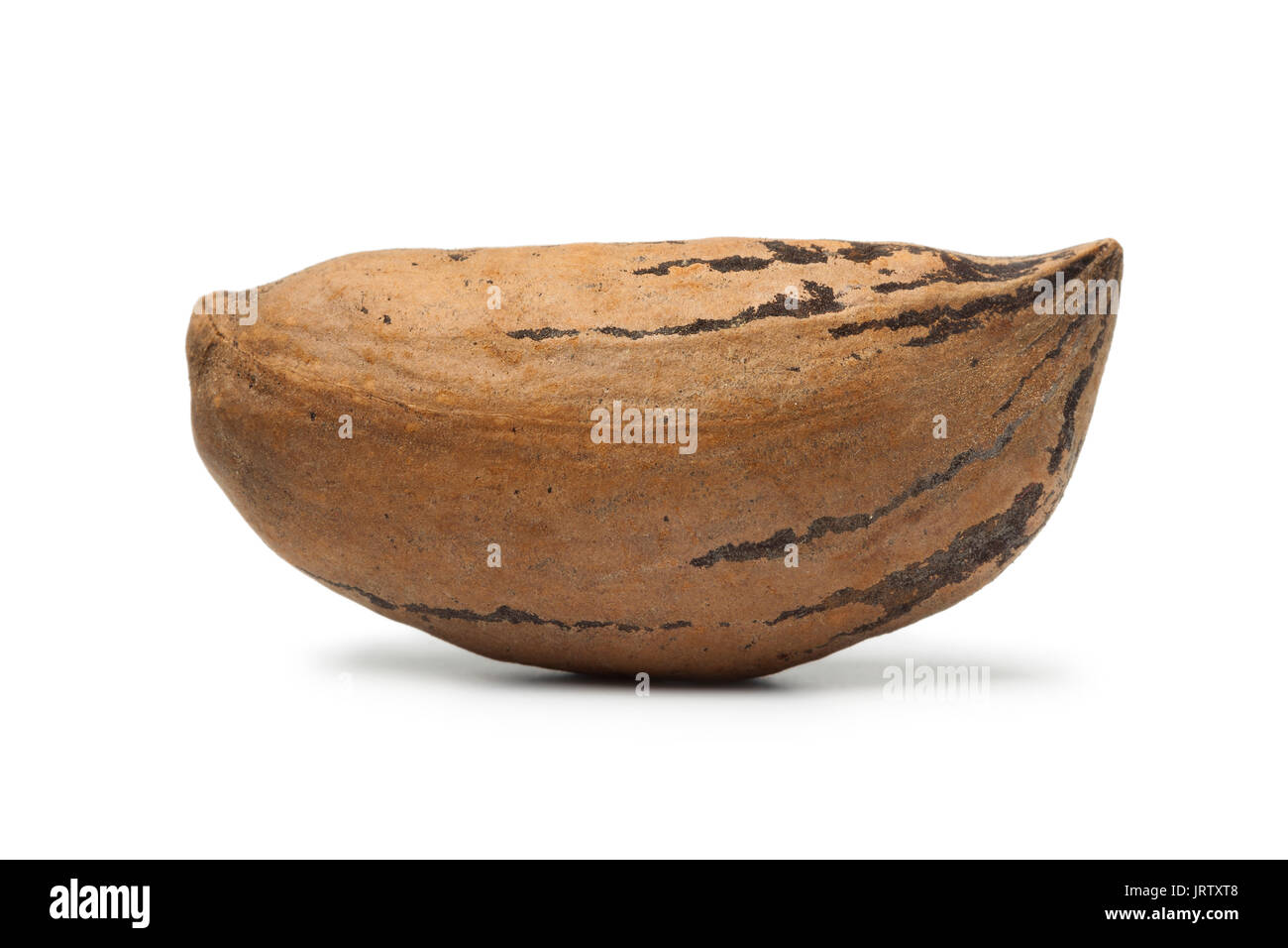 Single organic unshelled pecan nut on white background Stock Photo