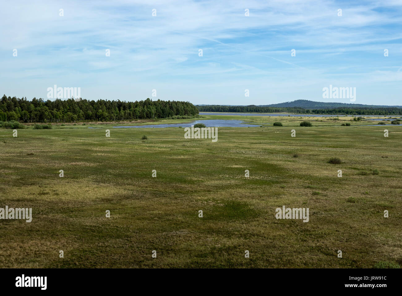 Store Mosse Store mosse national hi-res stock photography and images - Alamy