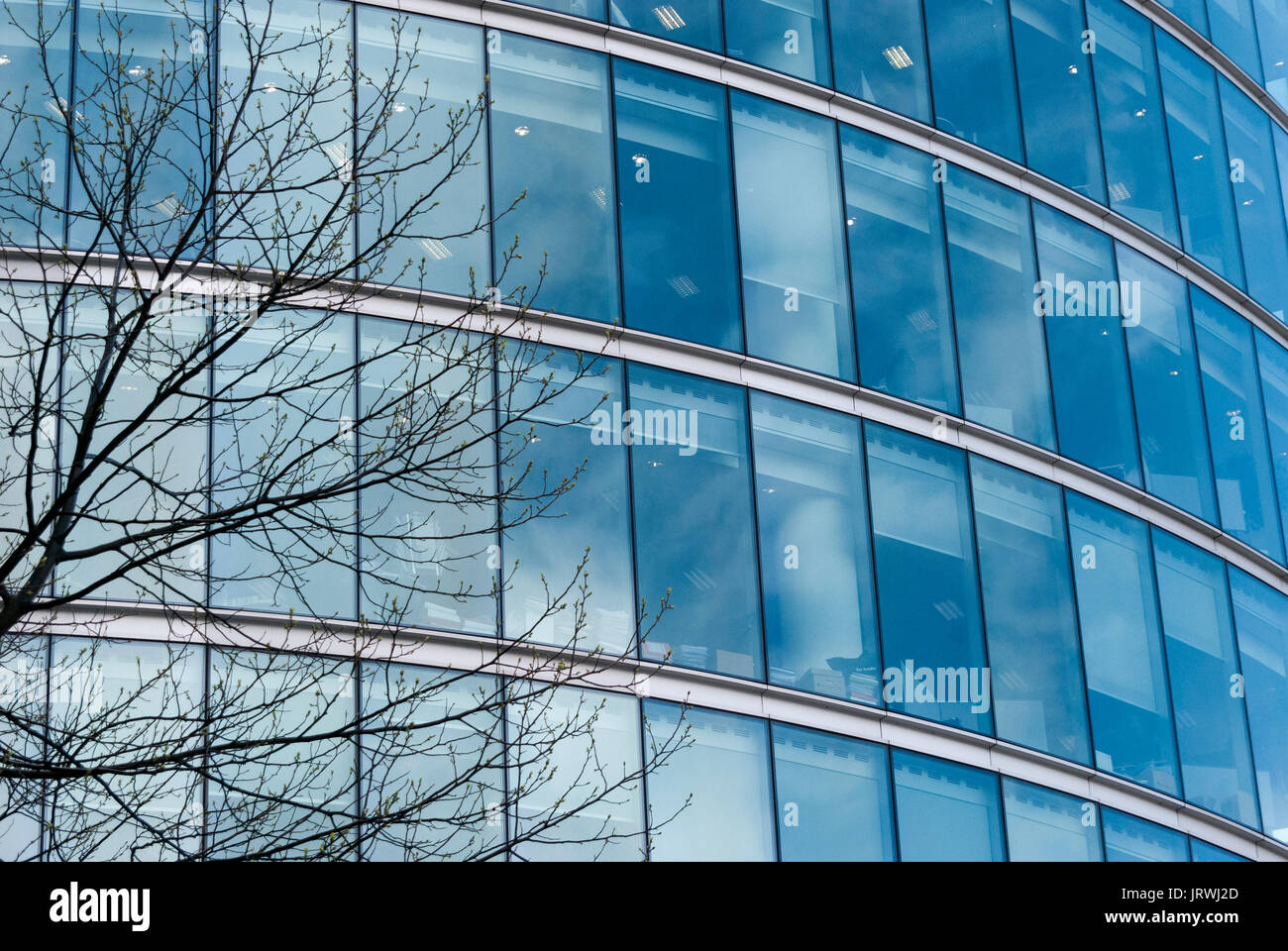 Glass Windows, Offices, Workplace, Blue Tinted Windows, Architecture Stock Photo
