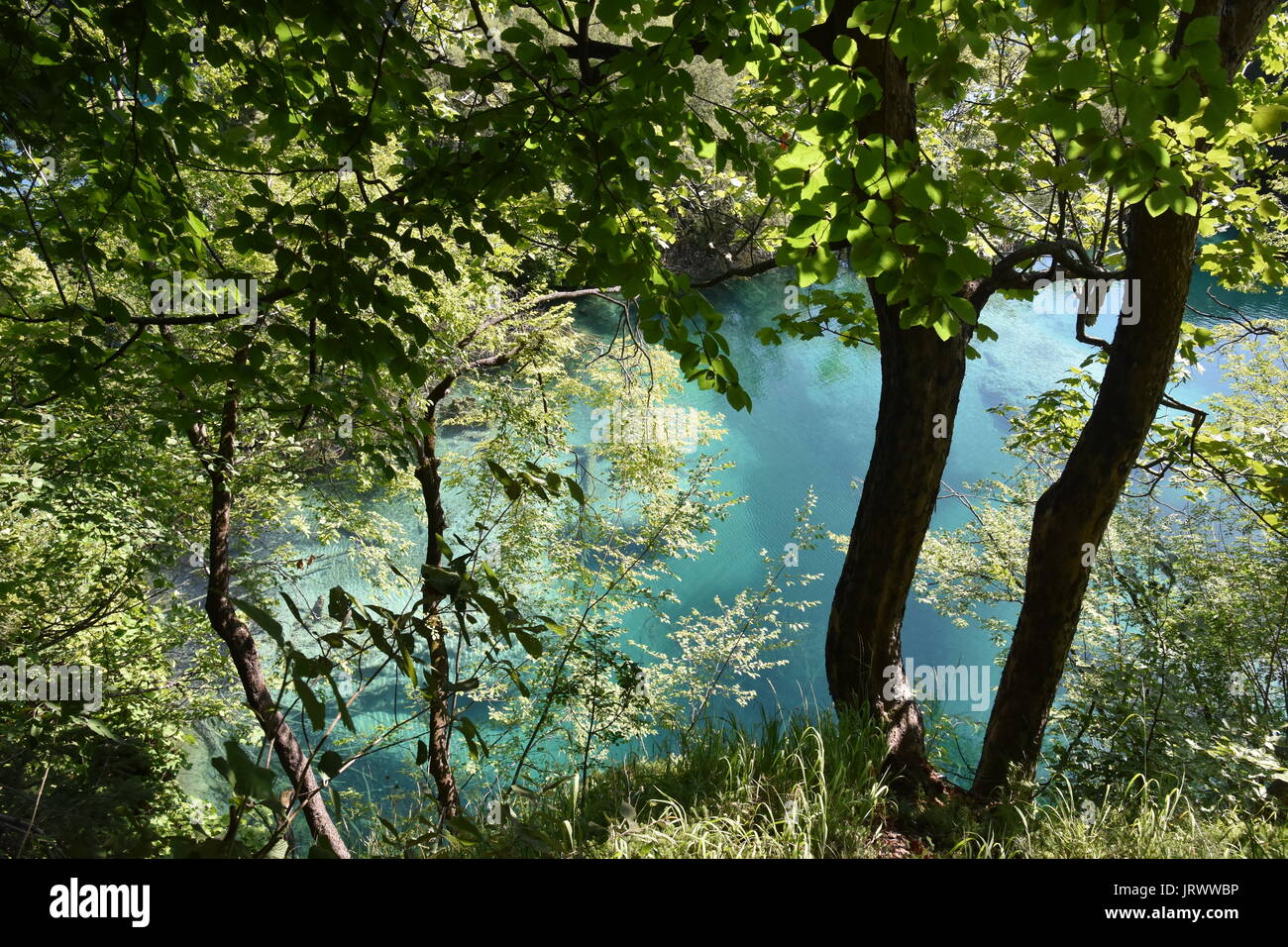 A walk in Plitvice National Park Stock Photo