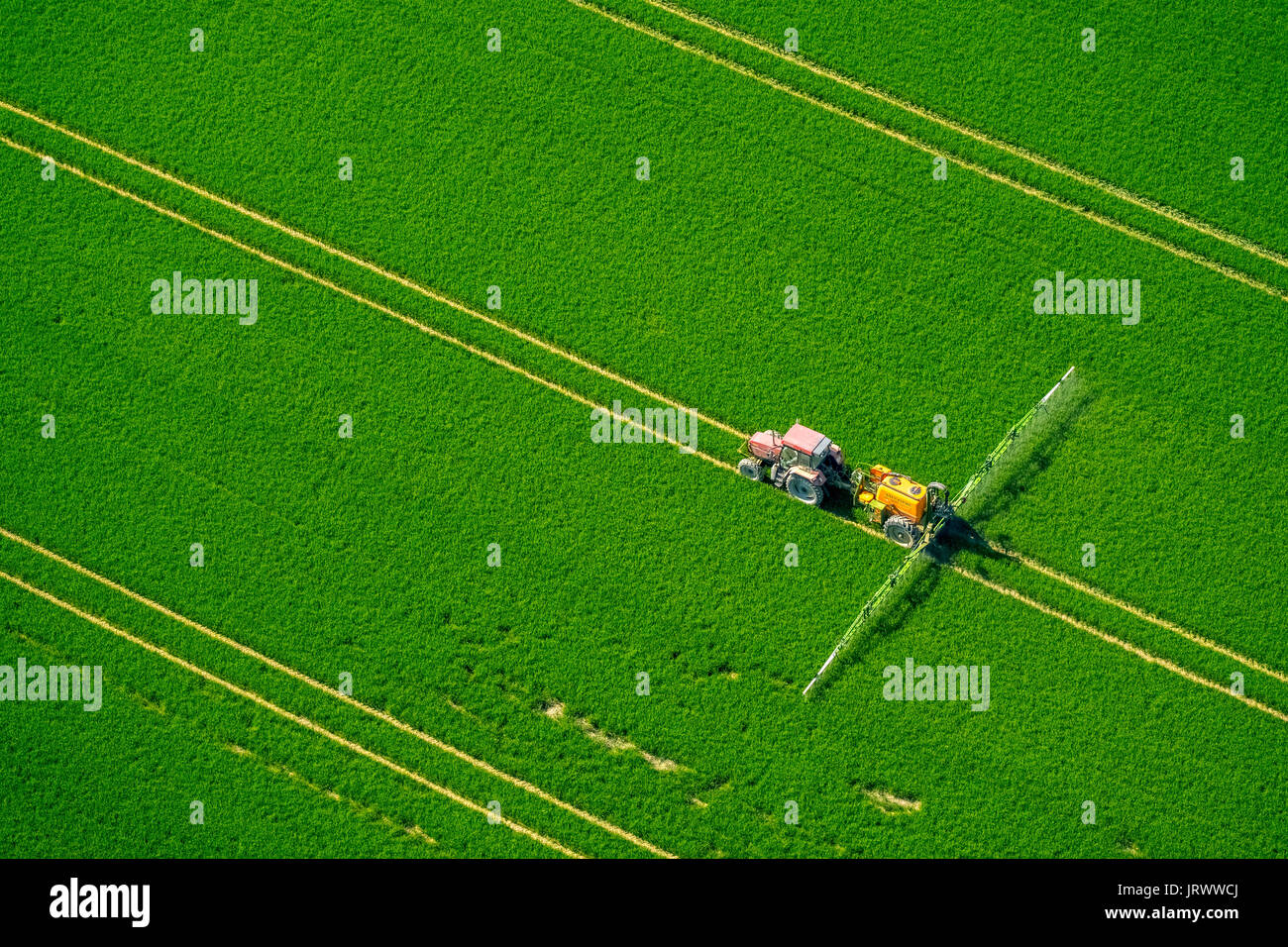 Tracker spraying pesticides on a green grain field, agriculture, aerial photo, Warstein, Sauerland, North Rhine-Westphalia Stock Photo