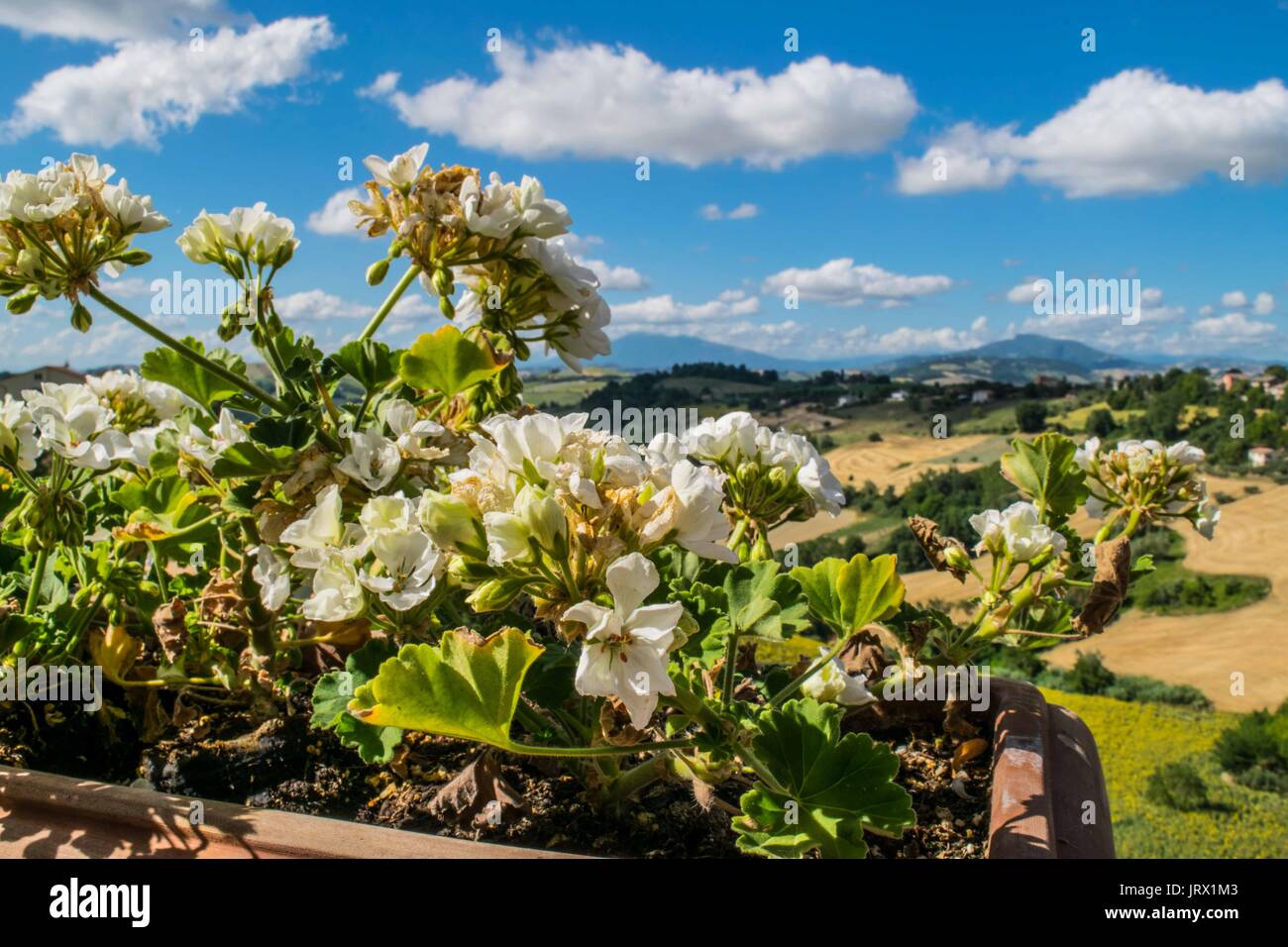 High quality landscapes hi-res stock photography and images - Alamy