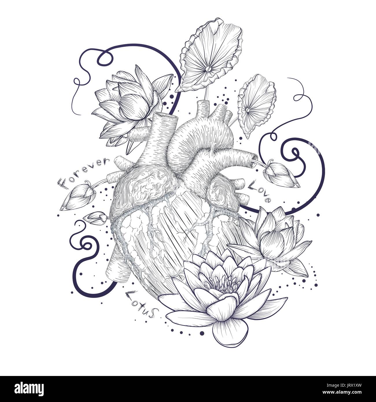 Human flora heart hipster tattoo love wild heart Symbol  Lotus waterlily lily flower leaves decorative stripes dots. Fantasy art t-shirt design Vector Stock Vector