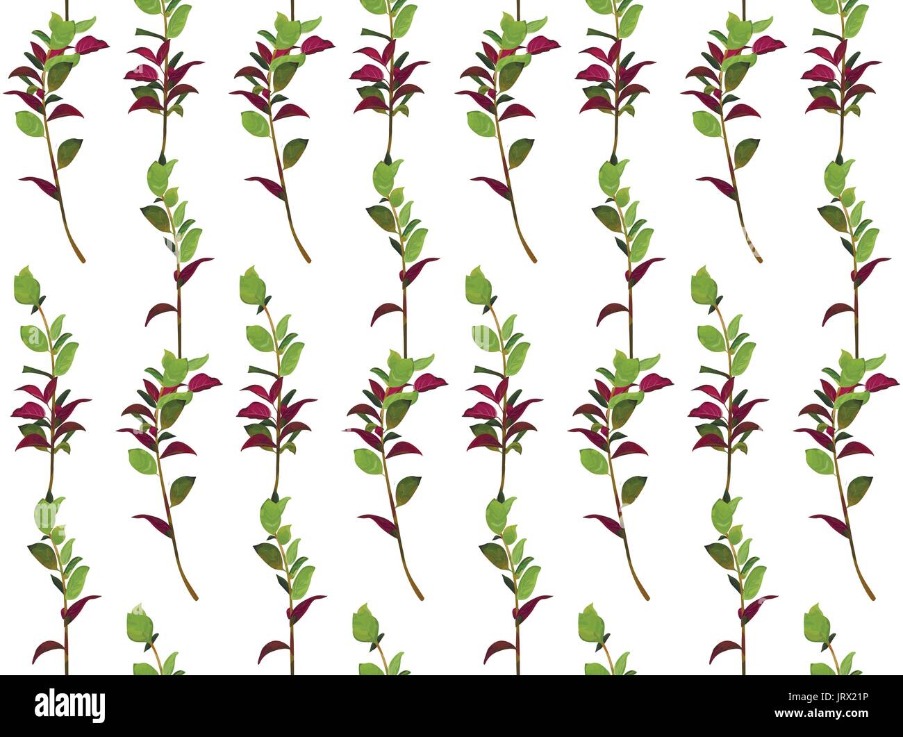 Seamless pattern ruscus salal tree green burgundy leaf different branches foliage natural leaves watercolor style. Vector forest greenery decorative e Stock Vector