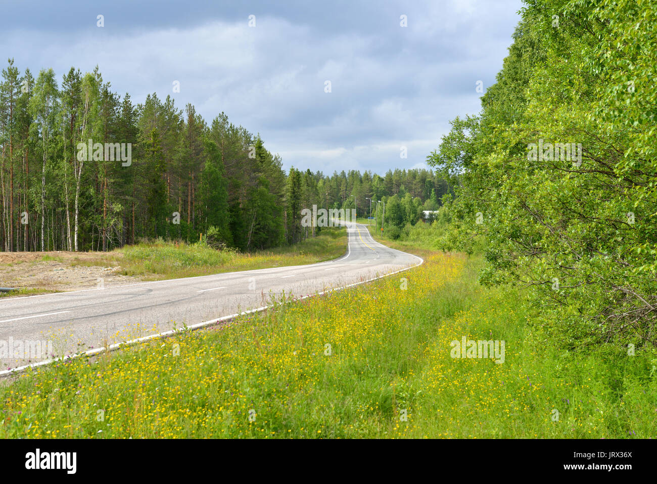 Road goes into distance. Finnish Lapland. Summer Stock Photo