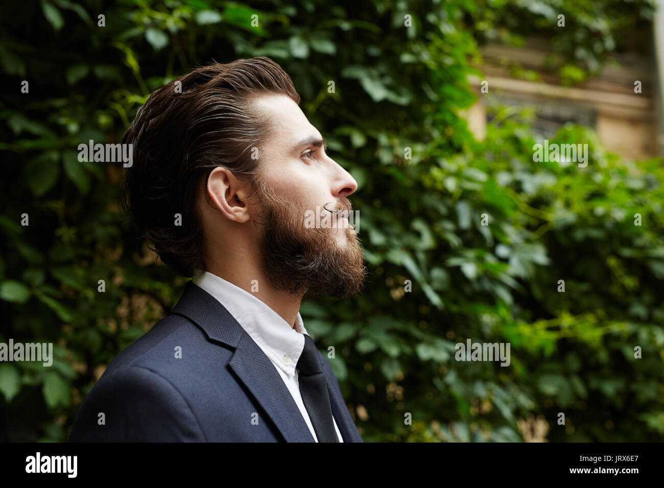Elegance Stock Photo