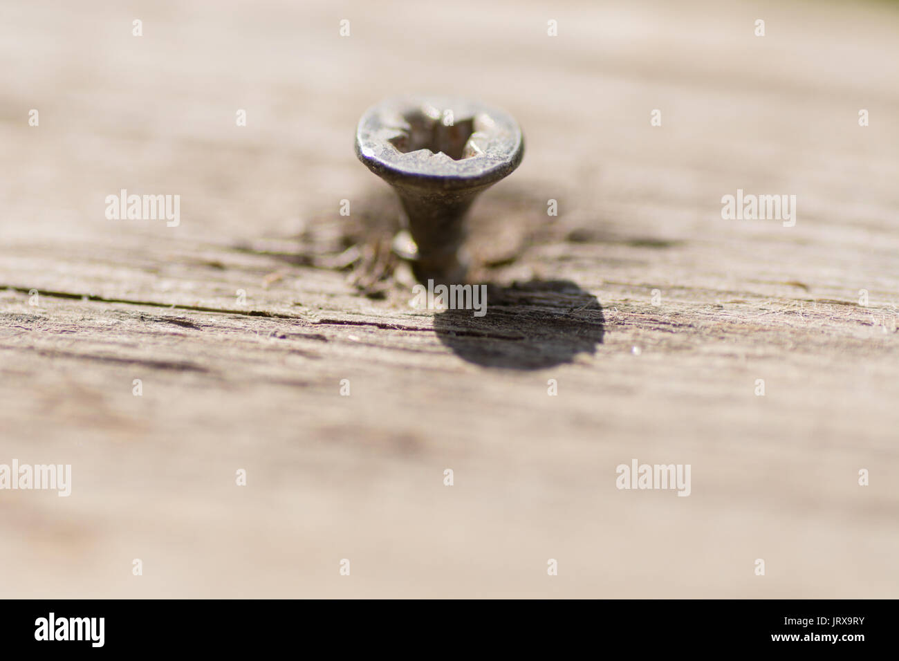 the screw into the tree twisted and filmed in closeup Stock Photo Alamy