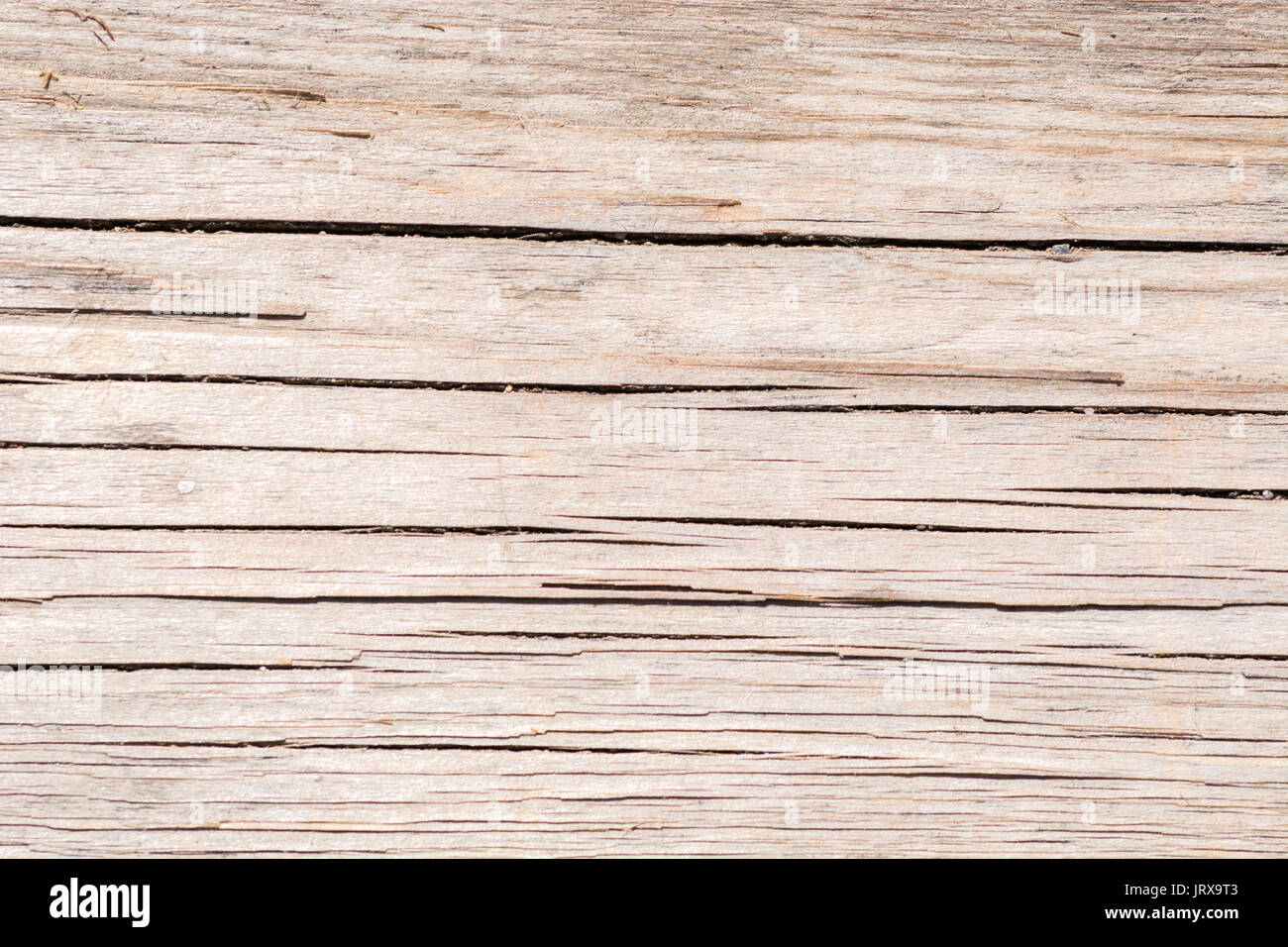 the screw into the tree twisted and filmed in closeup Stock Photo Alamy