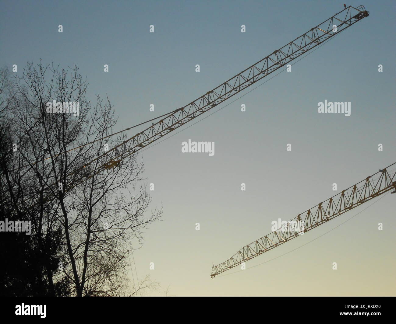 jibs of construction cranes at morning sky Stock Photo
