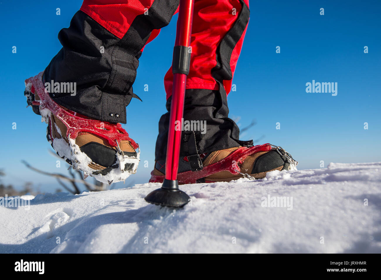 snow shoe boot spikes