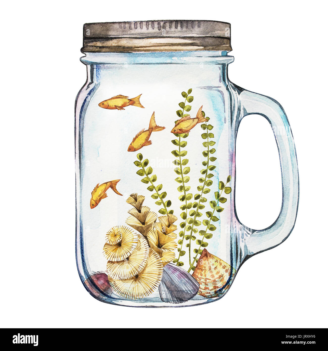 Isoleted Tumbler with Marine Life Landscape - the ocean and the underwater world with different inhabitants. Aquarium concept for posters, T-shirts, labels, websites, postcards Stock Photo