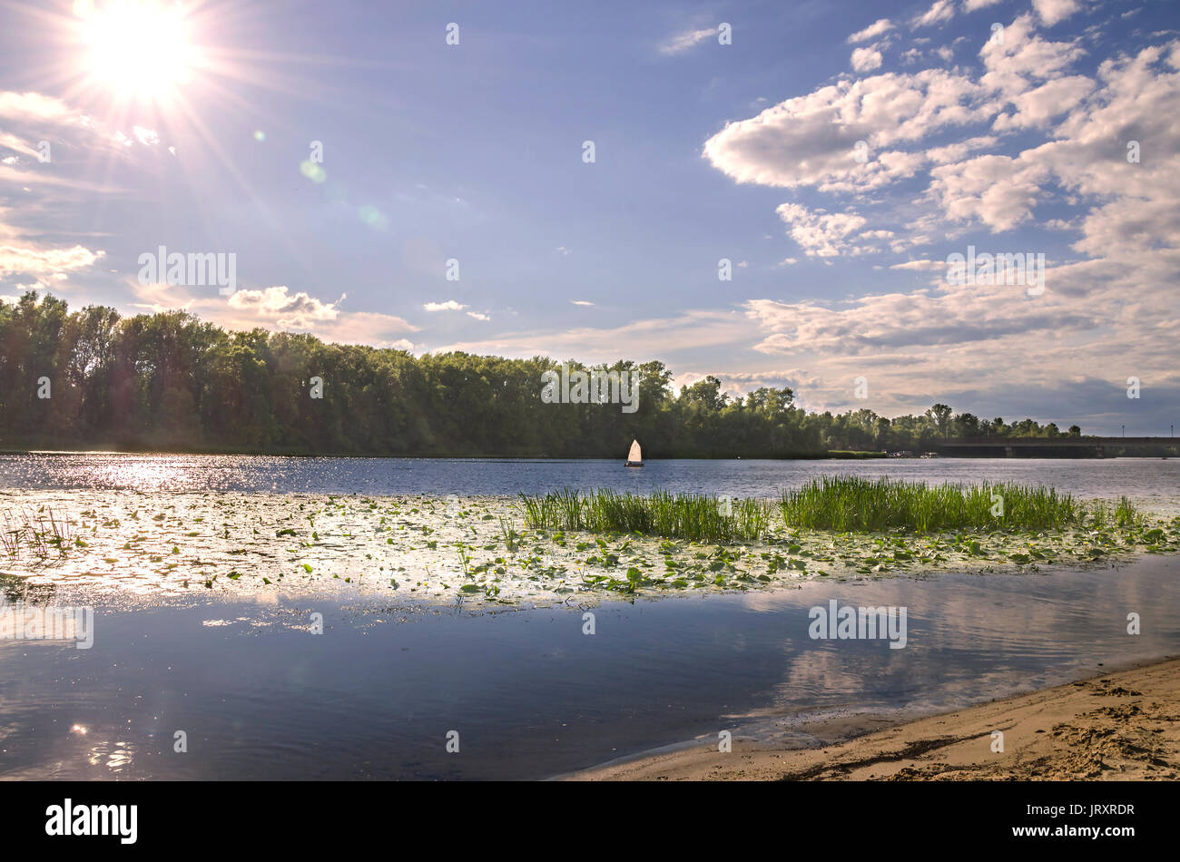 Beautiful summer day on the river bank, sun rays and bright blue sky with blue clouds Stock Photo