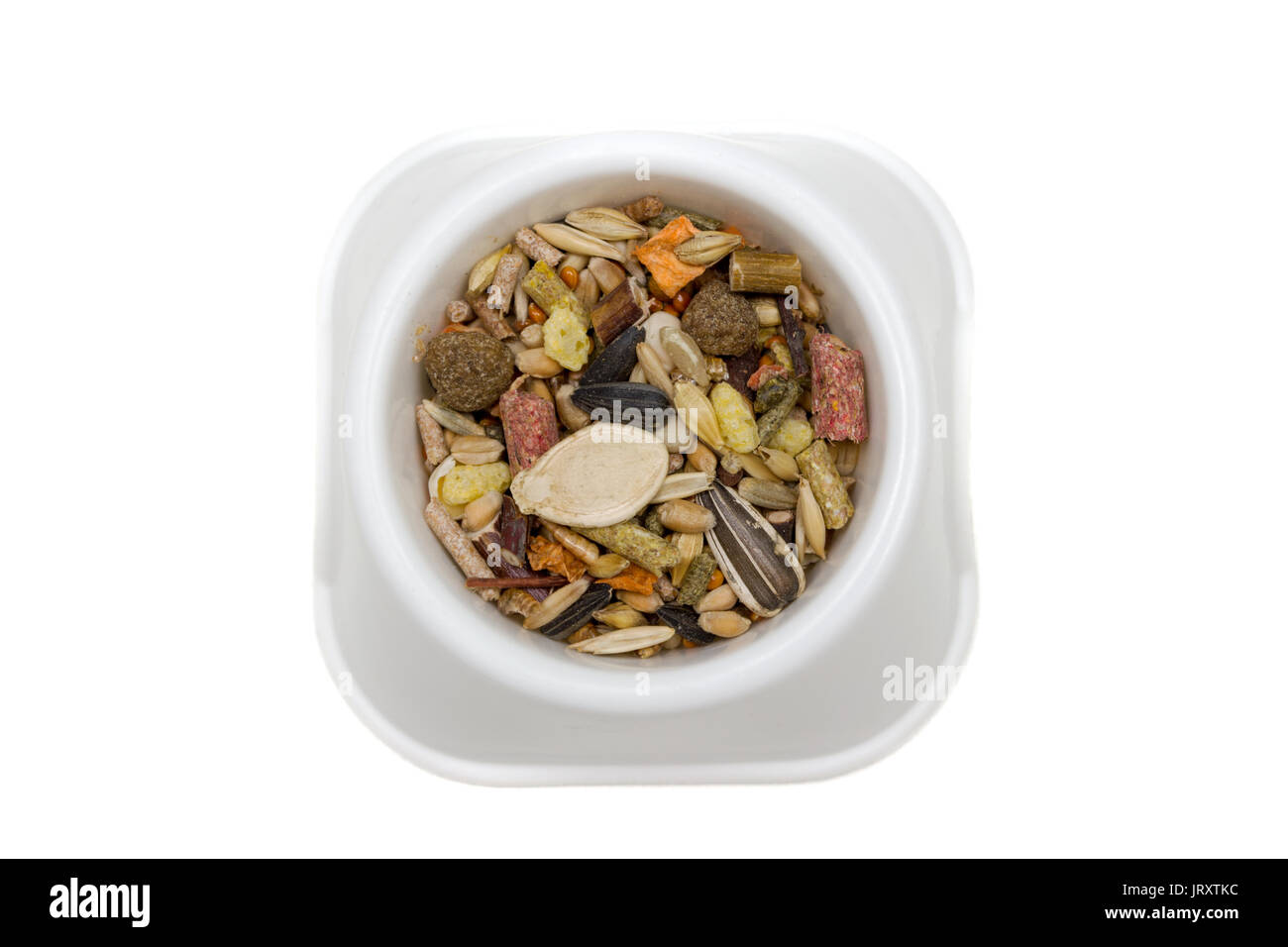 Feeder with grain and cereal feed for rodents Stock Photo