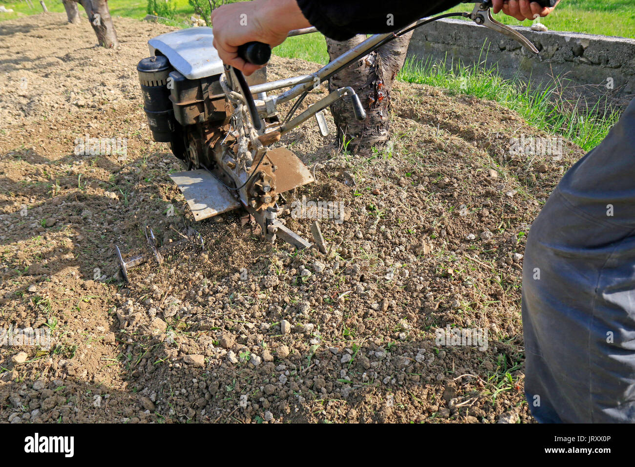 Farmer plowing the earth with motocultivator Stock Photo - Alamy