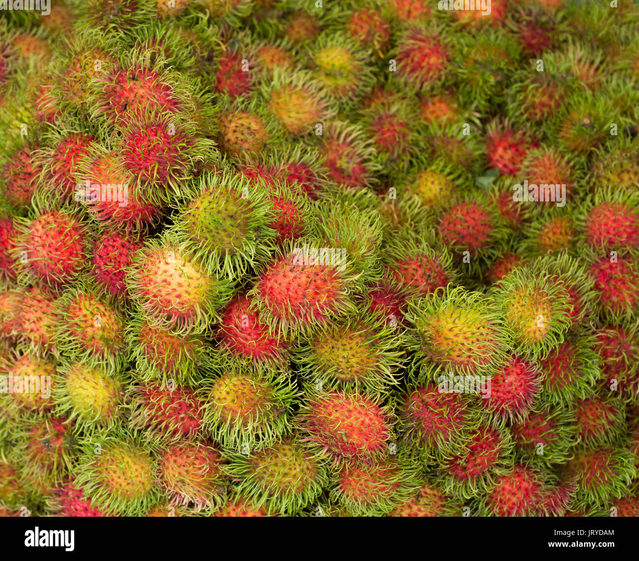 rambutan fruit closeup background on market Stock Photo