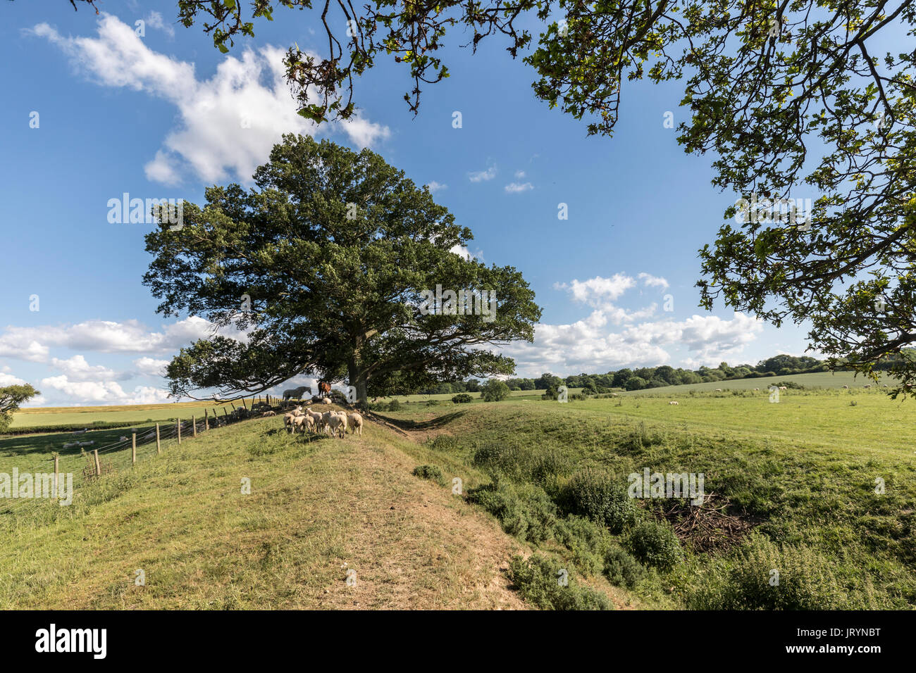 Offa's Dyke near Montgomery, Powys, Wales, UK Stock Photo