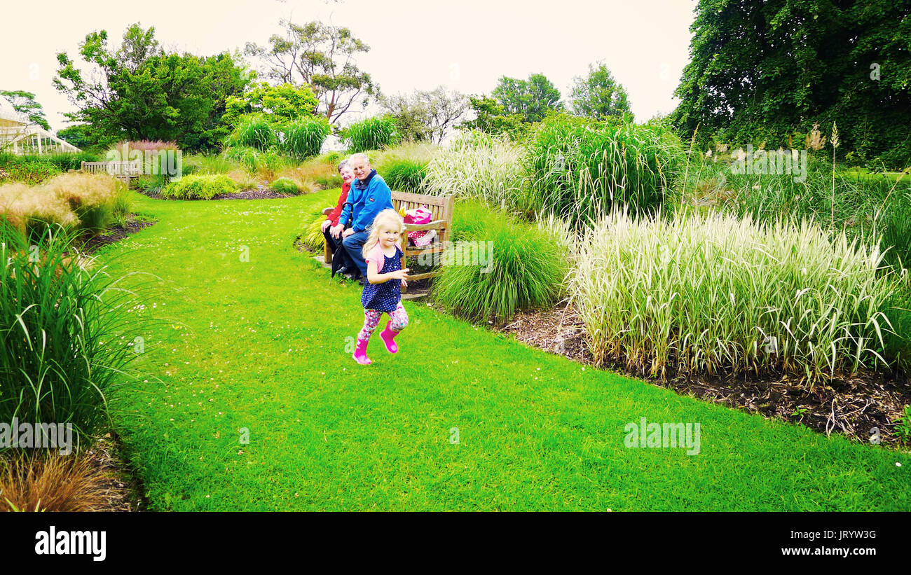 Little girl child, running in the park being watched by granny and granddad, grandparents grandchildren Botanic Gardens, Glasnevin , Dublin Ireland Stock Photo