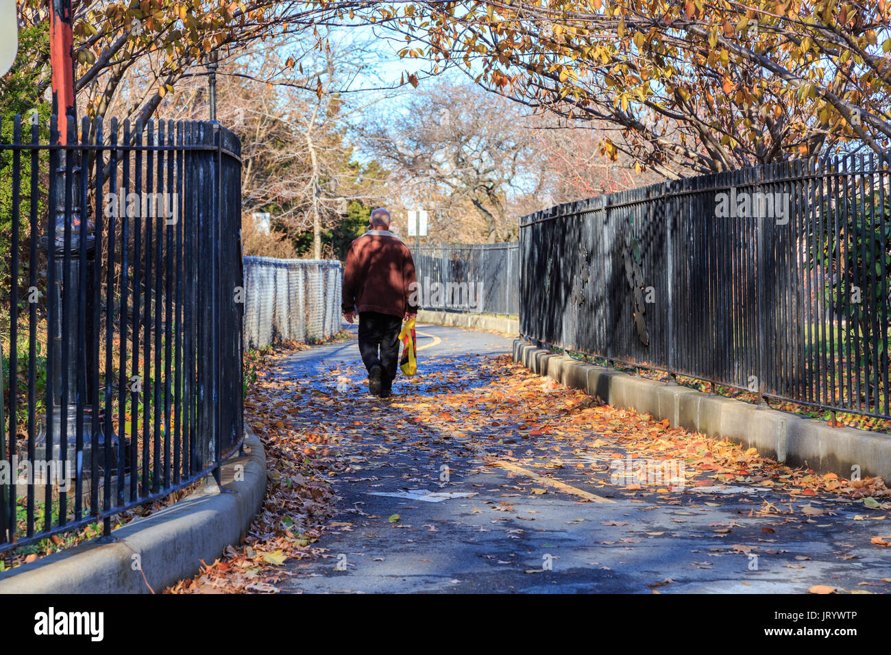 Fall landscape in a park in Bay Ridge, Brooklyn, New York, NY, USA in 2014. Stock Photo