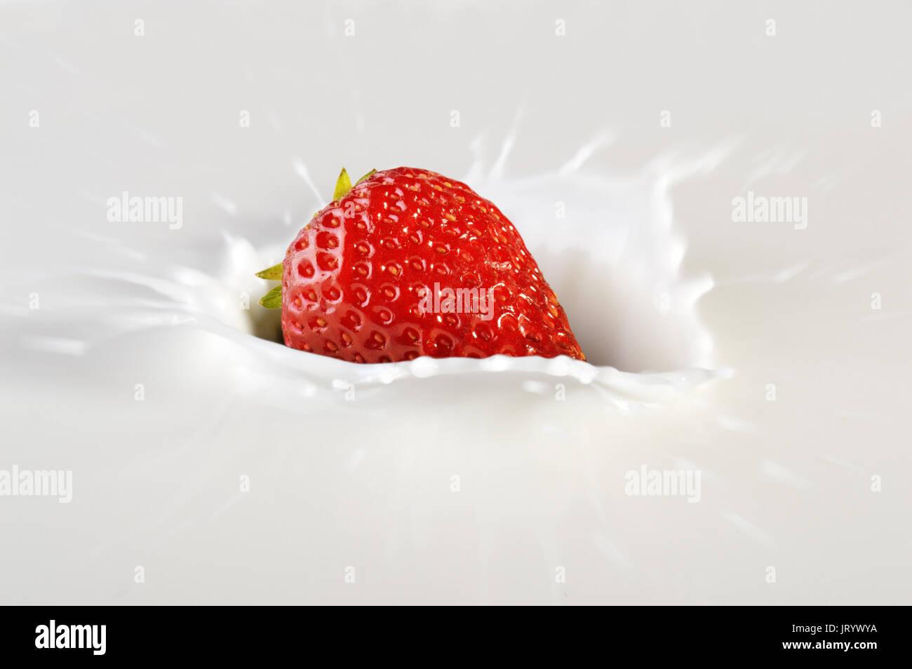 Fresh strawberry falling into milk splashing. Stock Photo