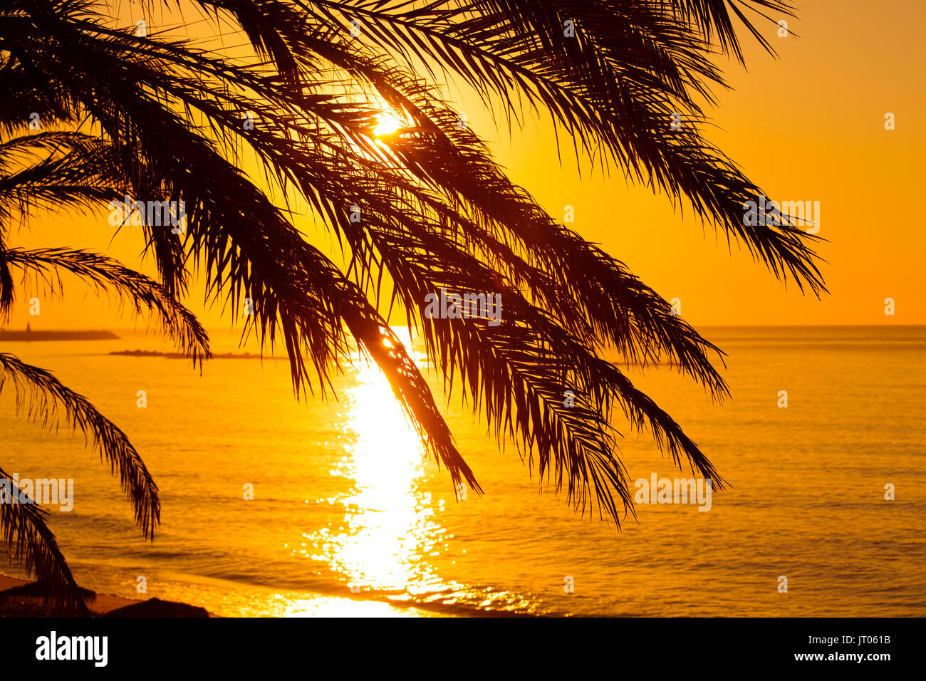 Palm trees and person running, beach at sunrise. Benalmadena. Malaga province Costa del Sol. Andalusia Southern Spain, Europe Stock Photo