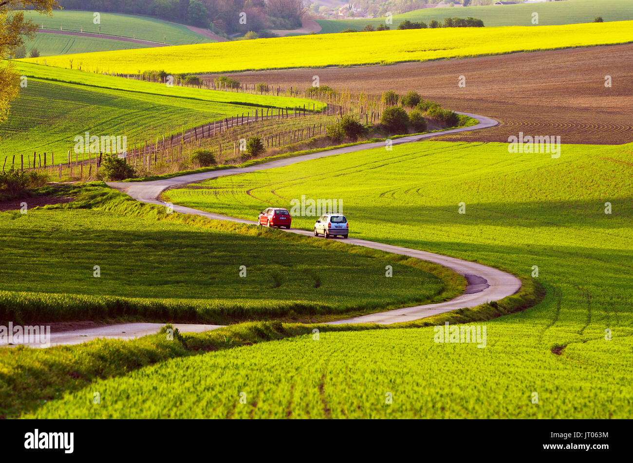 Rural landscape with road Stock Photo - Alamy