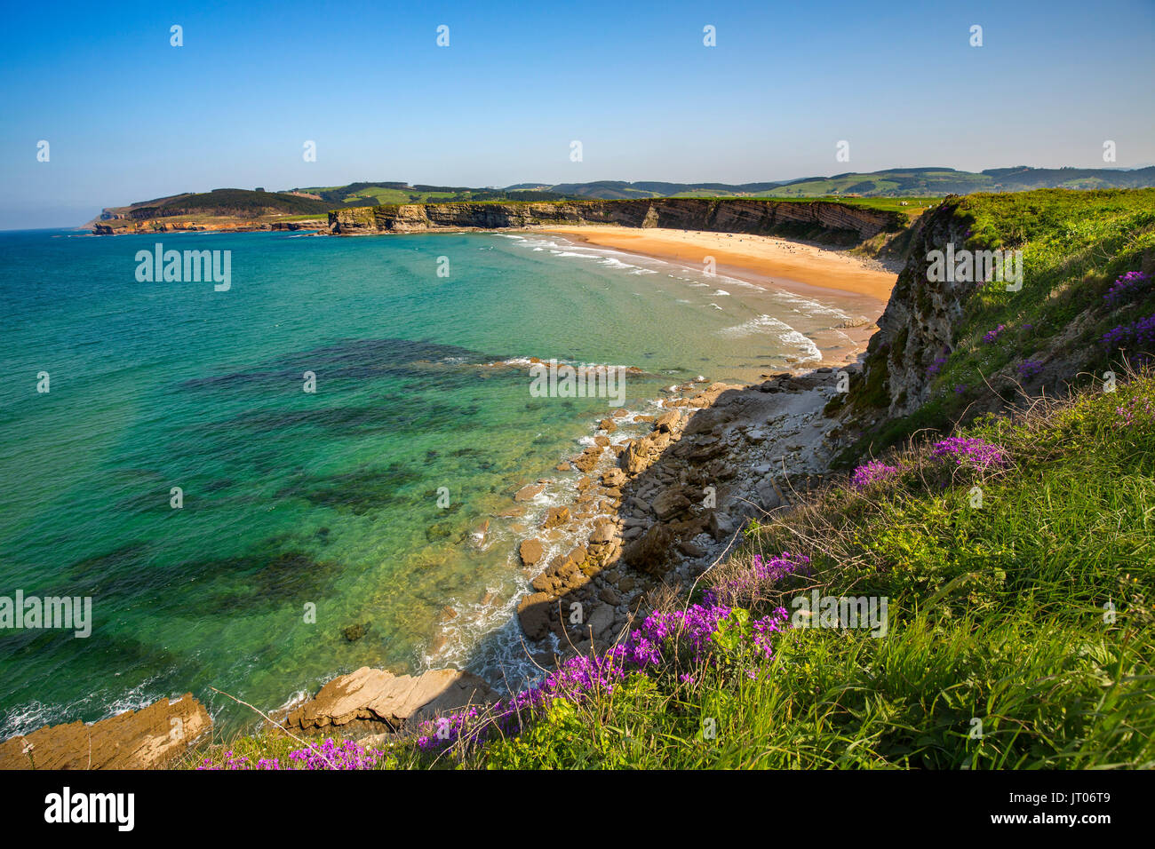 Meadow of green grass and flowers. Langre beach, Ribamontan al Mar, Trasmiera coast. Cantabrian Sea. Cantabria Spain. Europe Stock Photo