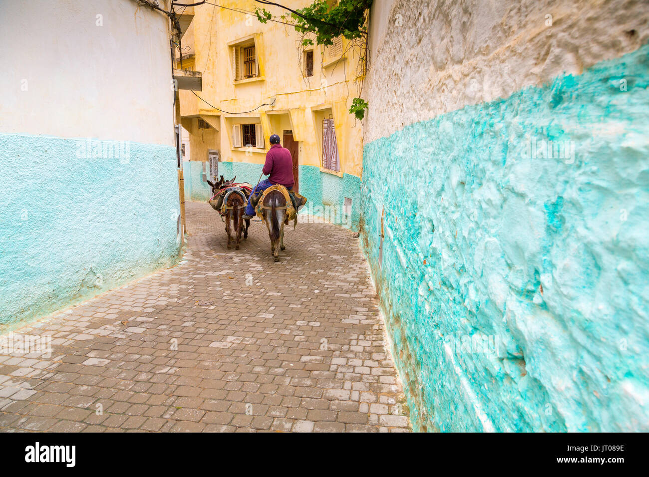 Man riding a donkey, Street life scene, Moulay Idriss. Morocco, Maghreb North Africa Stock Photo