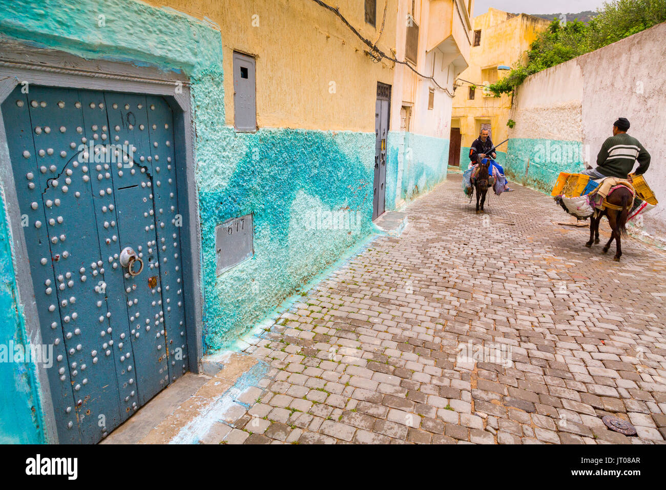 Traditional blue door of a house. Man riding a donkey, Street life scene, Moulay Idriss. Morocco, Maghreb North Africa Stock Photo