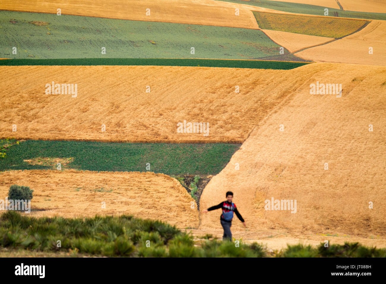 Rural landscape morocco hi-res stock photography and images - Alamy