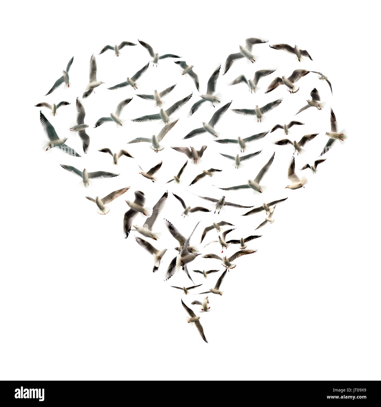 conceptual background image of heart shape with birds flying Stock Photo