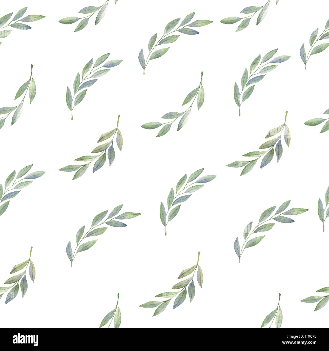 Olive branch hand drawn watercolor seamless pattern on white background ...