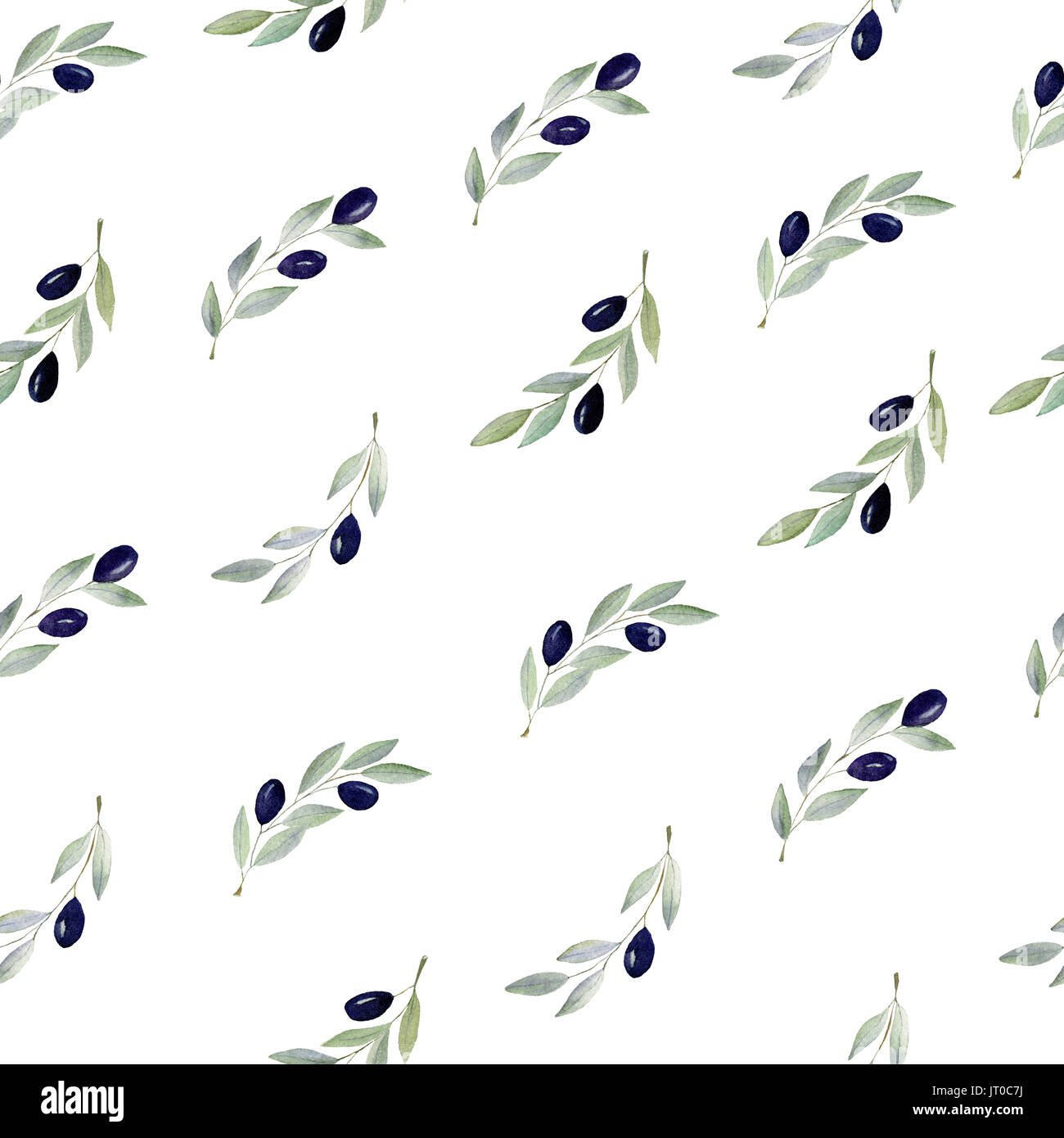 Olive branch hand drawn watercolor painting pattern on white background ...