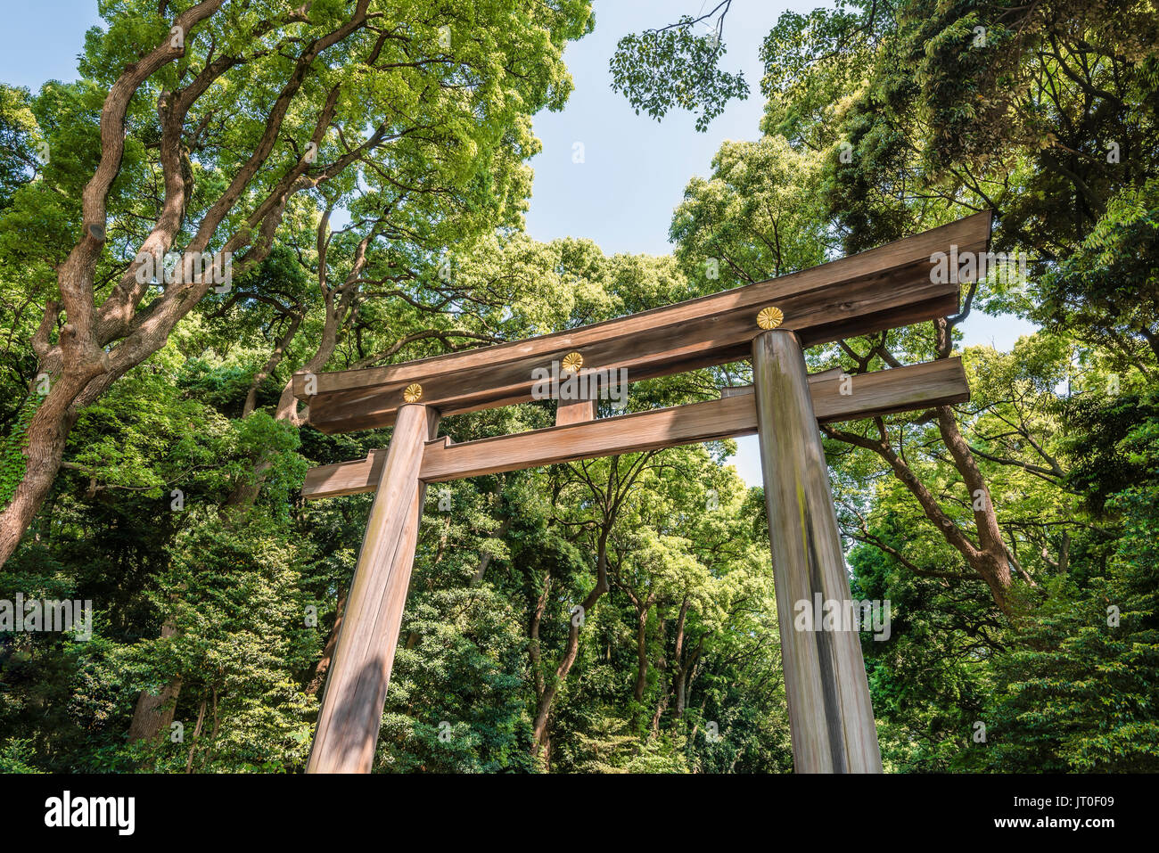 Torii gate leading to the Meiji Shrine complex , Tokyo, Japan Stock Photo