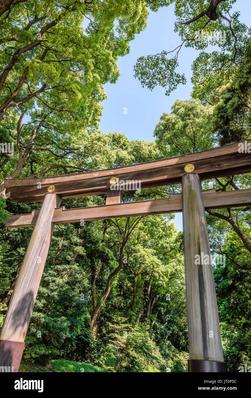 Torii gate leading to the Meiji Shrine complex , Tokyo, Japan Stock Photo