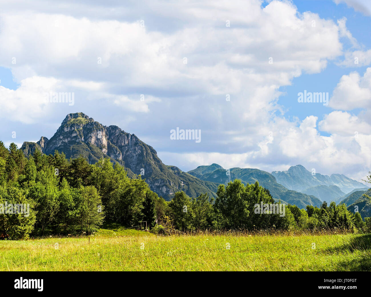 Idyllic landscape in the Alps with fresh green meadows Stock Photo - Alamy