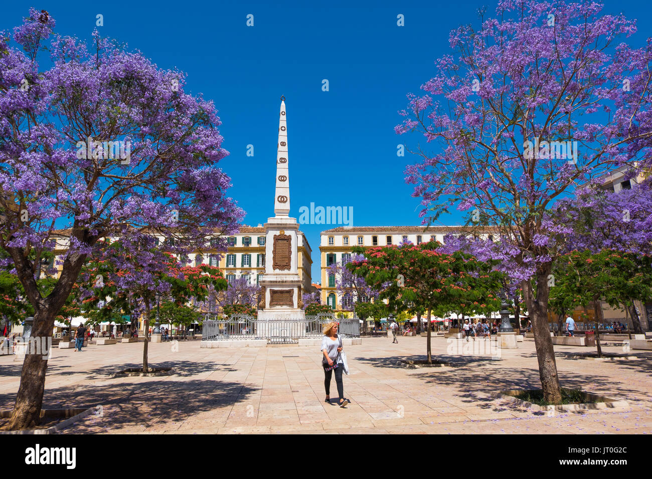 Plaza de la Merced in spring Málaga, Costa del Sol. Andalusia, Southern Spain Europe Stock Photo