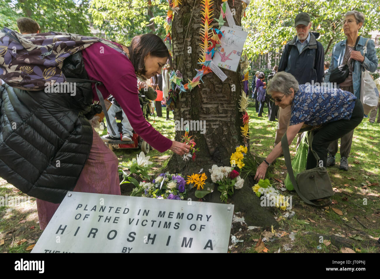 London, UK. 6th Aug, 2017. London, UK. 6th August 2017. Peoople lay flowers at the Hiroshima Cherry Tree at the London CND ceremony in memory of the victims, past and present on the 72nd anniversary of the dropping of the atomic bomb on Hiroshima and the second atomic bomb dropped on Nagasaki three days later. Peter Marshall ImagesLive Credit: Peter Marshall/ImagesLive/ZUMA Wire/Alamy Live News Stock Photo