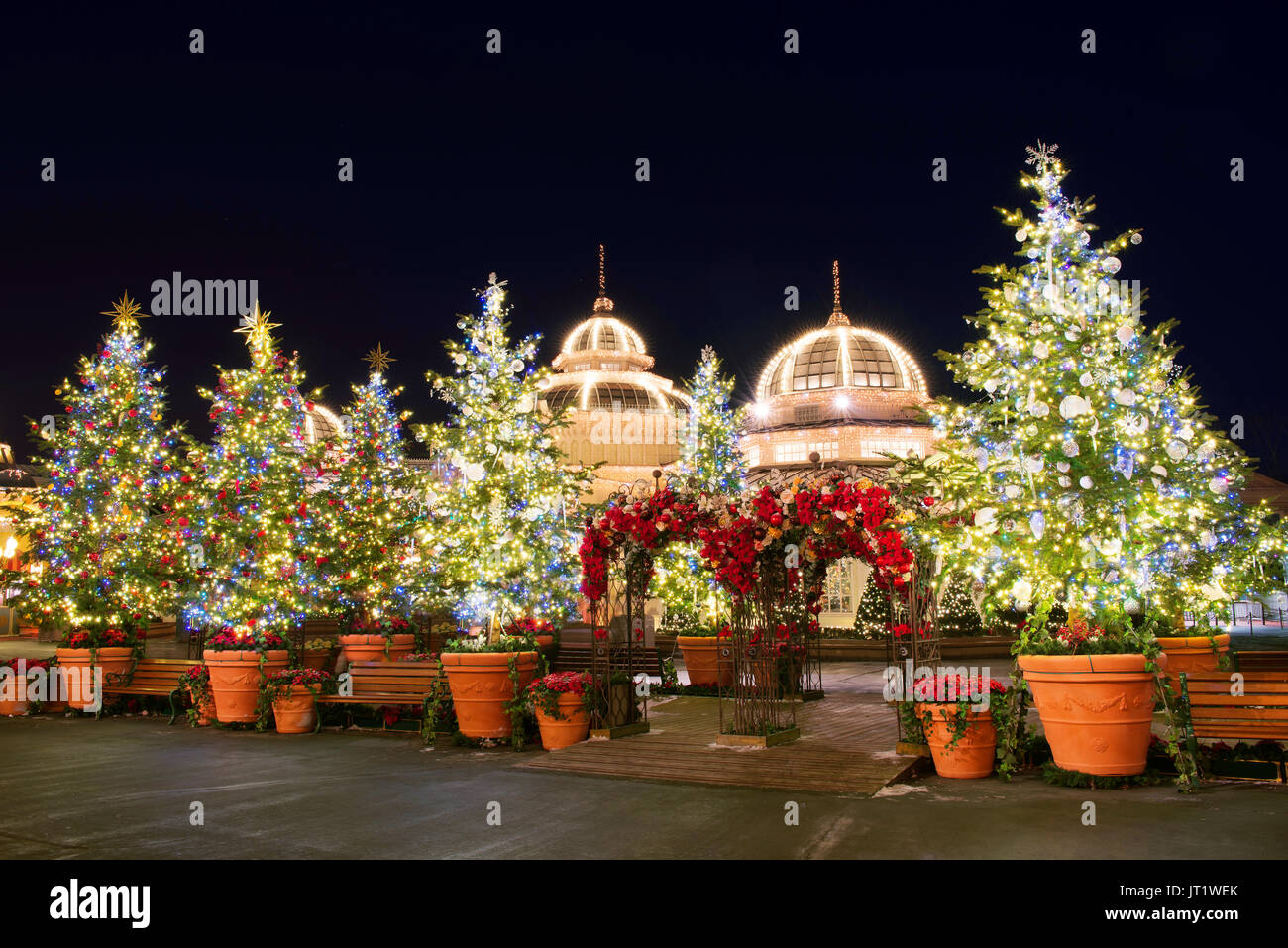 SEOUL, KOREA - DECEMBER 21,2014: Christmas tree lights at ninght ...