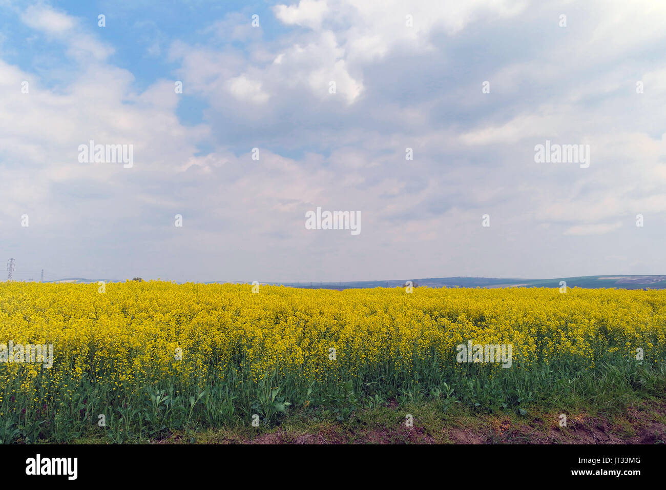 Living in nature hi-res stock photography and images - Alamy
