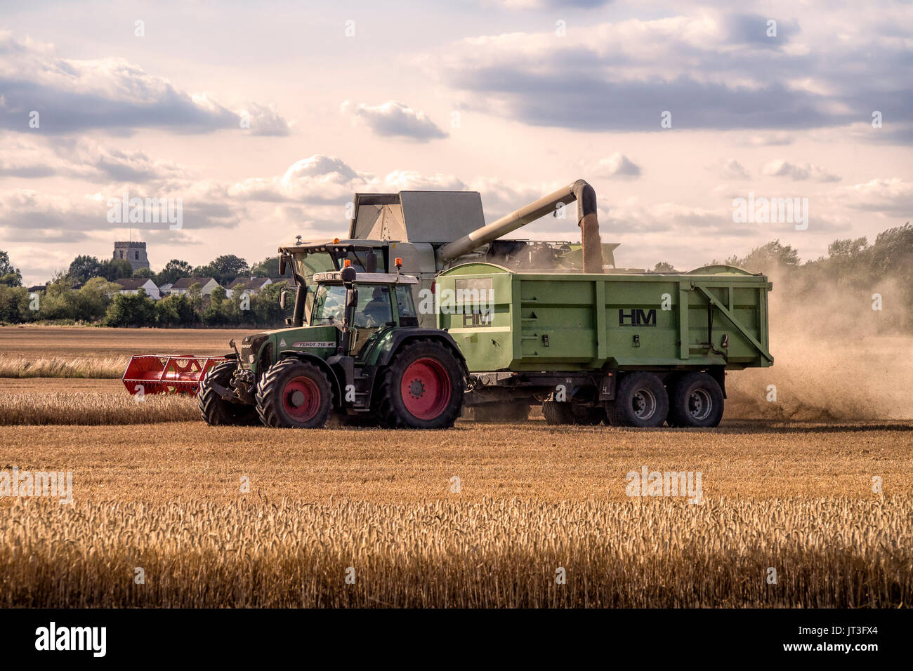 Combine harvester transferring harvested wheat in to tractor trailer