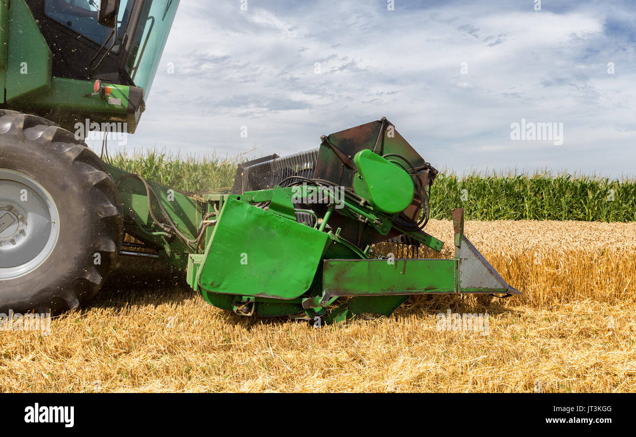Harvesting wheat harvester on a sunny summer day Stock Photo - Alamy