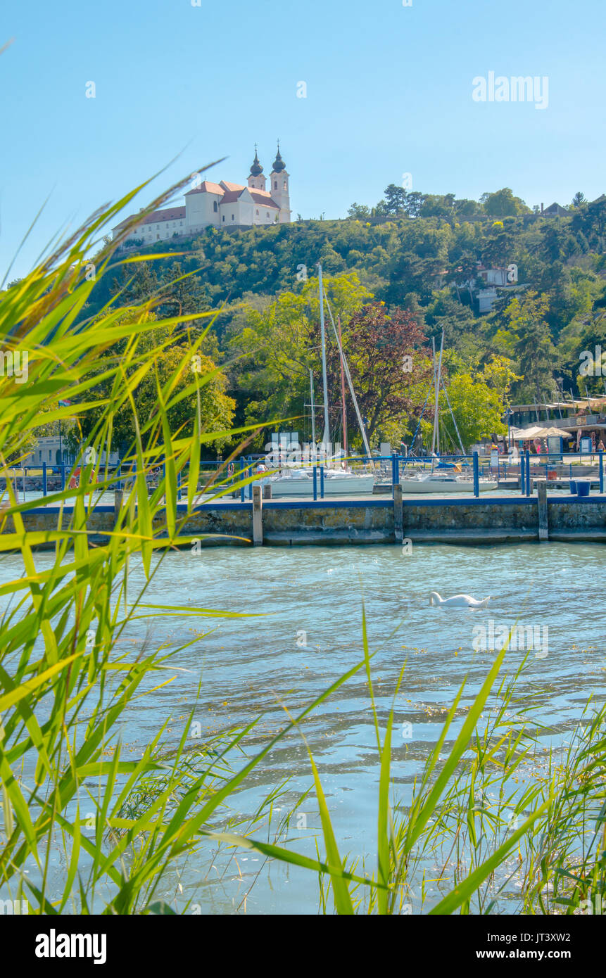 Tihany abbey with harbour, portrait view throug reed with swan on lake balaton. Stock Photo